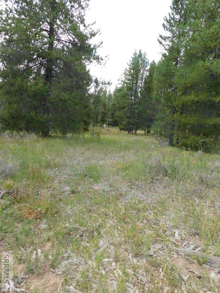 3770 Moose Breath Lane - Photo 1