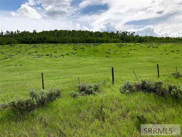 Lot 6 Henry's Cutoff Road - Photo 1