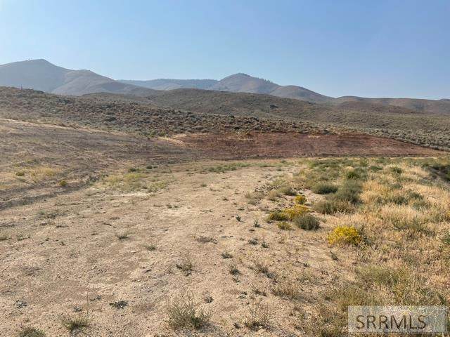 TBD Diamond Creek Road - Photo 1
