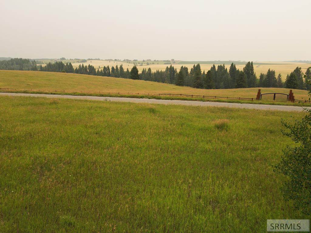 1578 Shadow Run - Photo 1