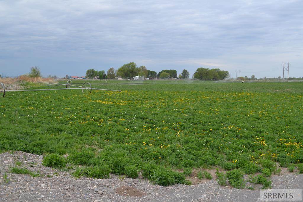 TBD 1000 E - Photo 1
