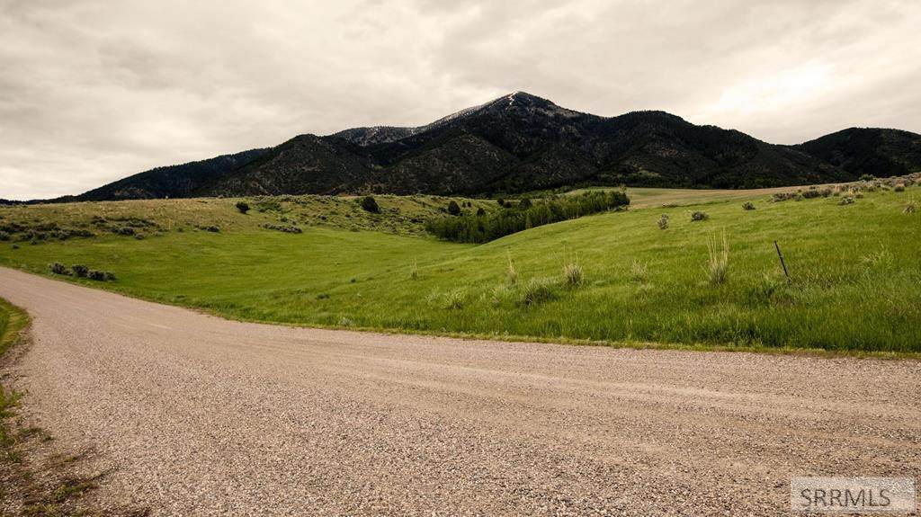 Lot 21 Sumac Loop - Photo 1