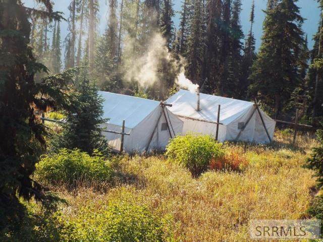 0 Moose Creek - Photo 1