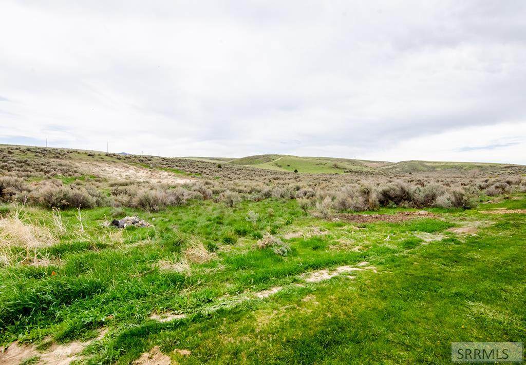 11830 Pinehurst Drive - Photo 1
