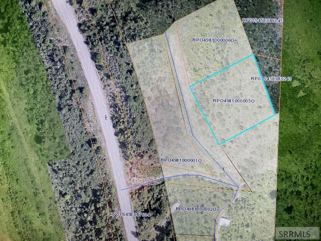 TBD Swan Valley Hwy - Photo 1