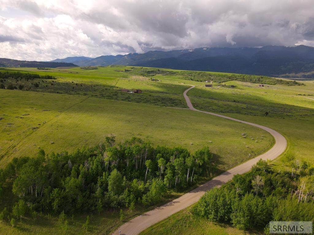 TBD Elk Ridge Drive - Photo 1