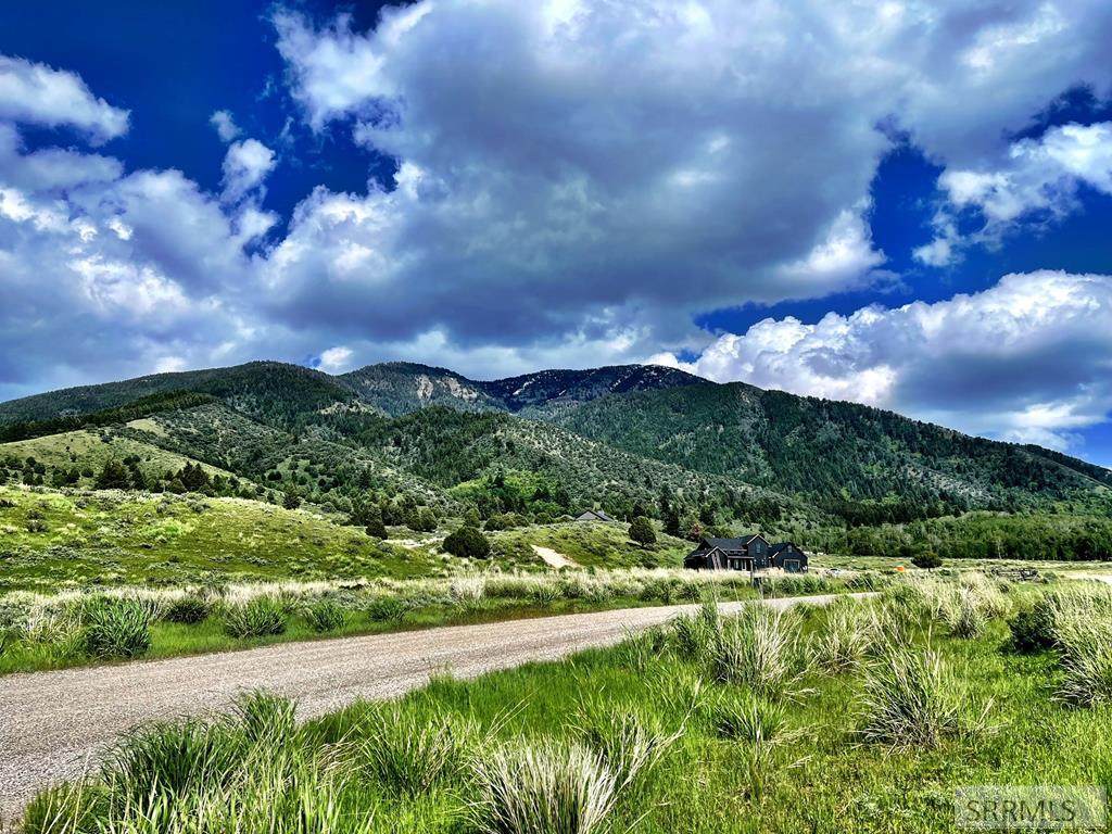 156 Elk Path - Photo 1