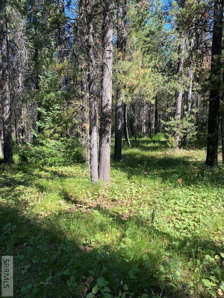 3621 Island Drive - Photo 1