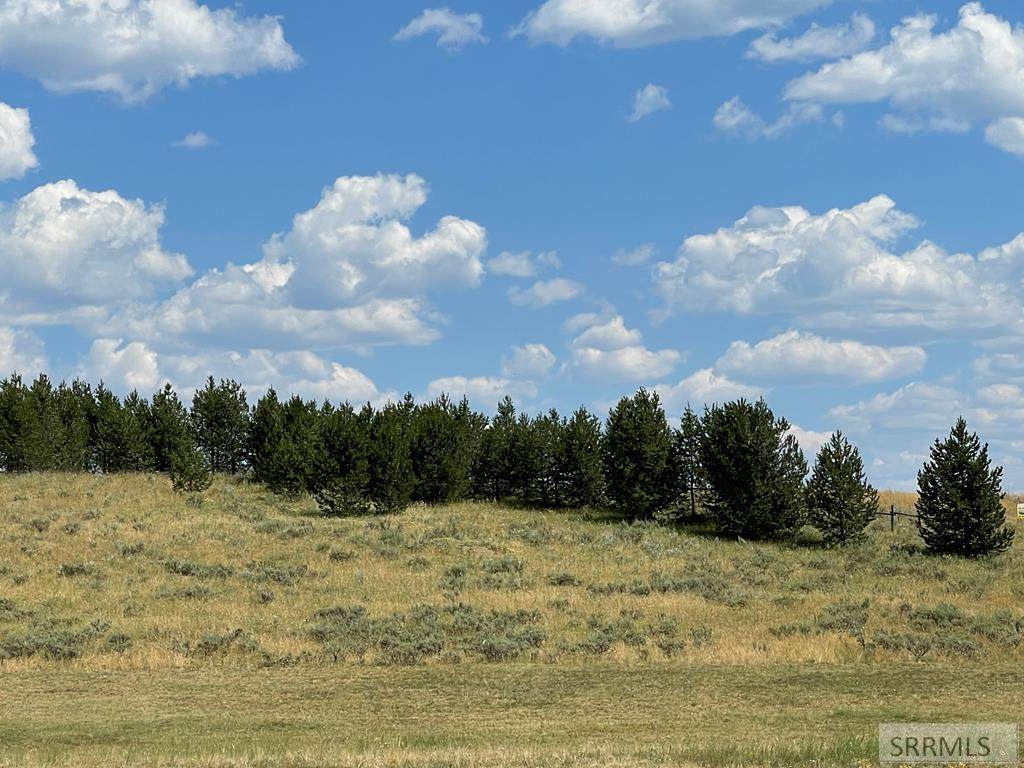 3975 David Circle - Photo 1