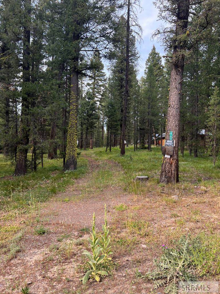 2769 Sage Hen Drive - Photo 1