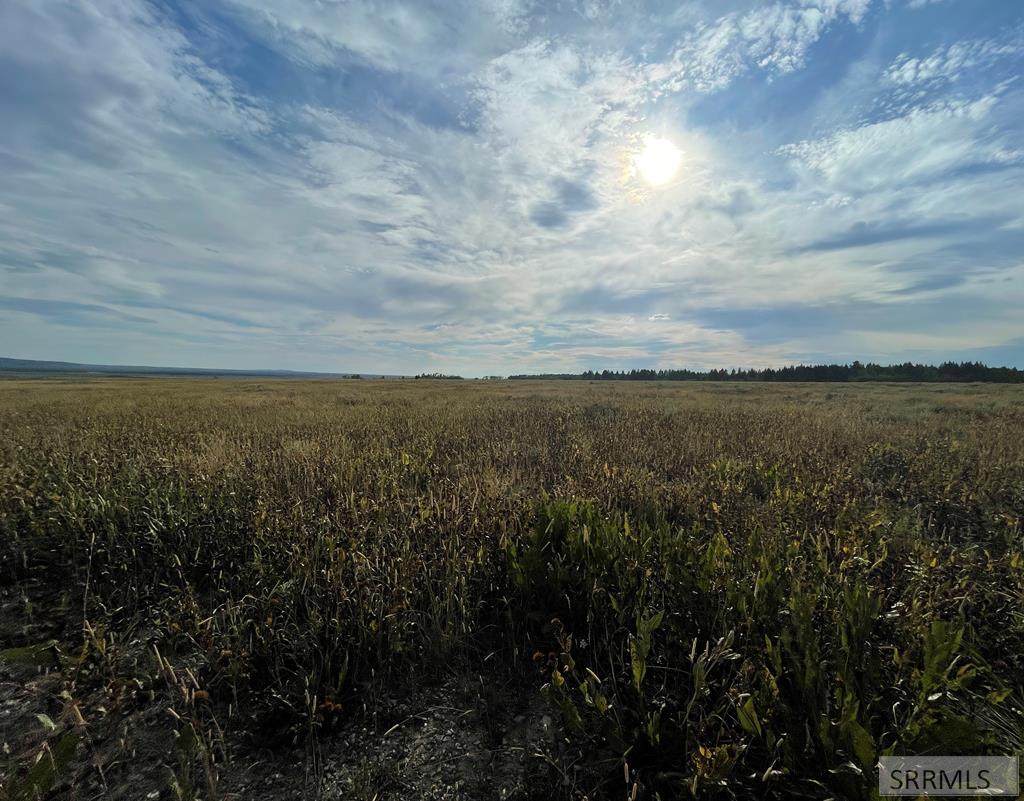 TBD Brooks Blaze Lane - Photo 1