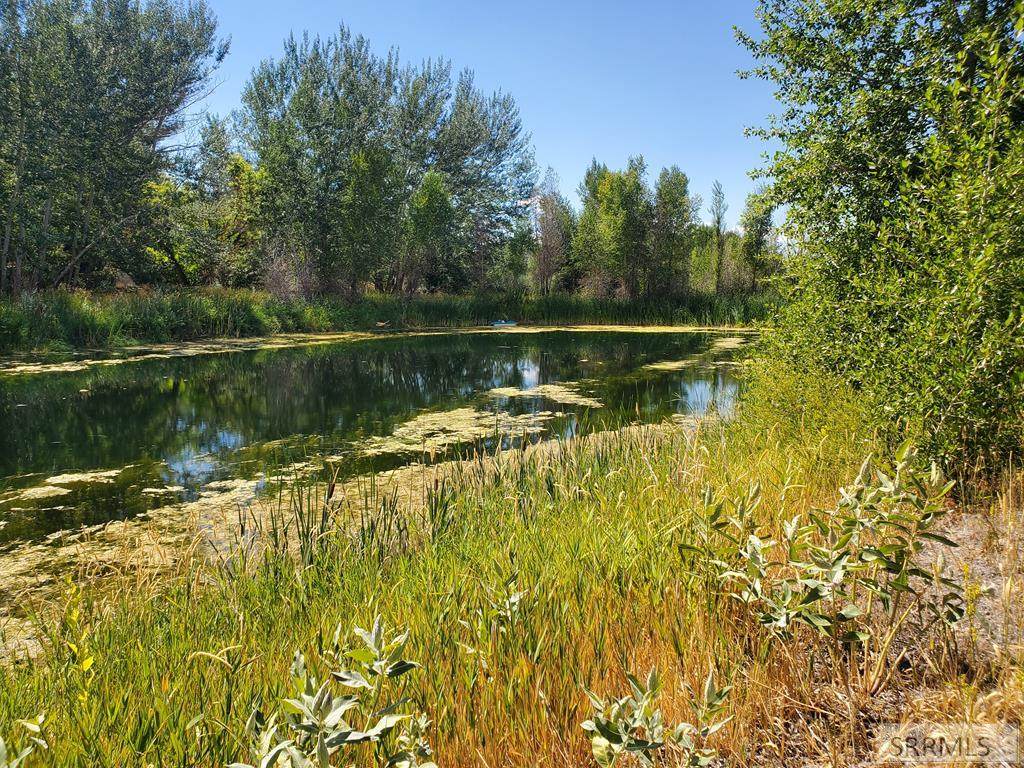 TBD Wapiti Drive - Photo 1