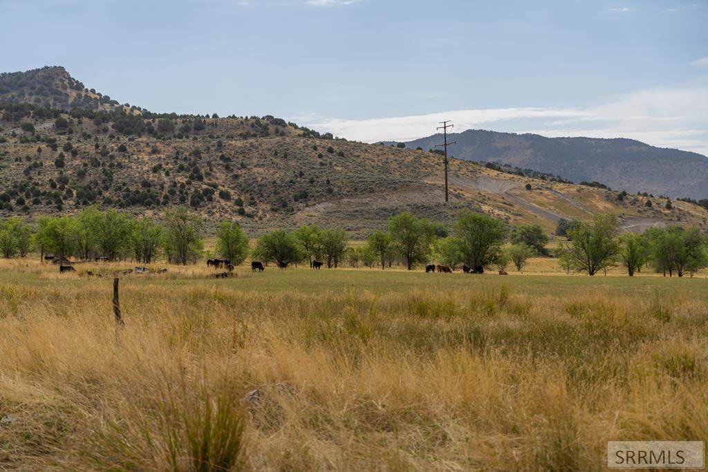 8525 Old Hwy 191 - Photo 1