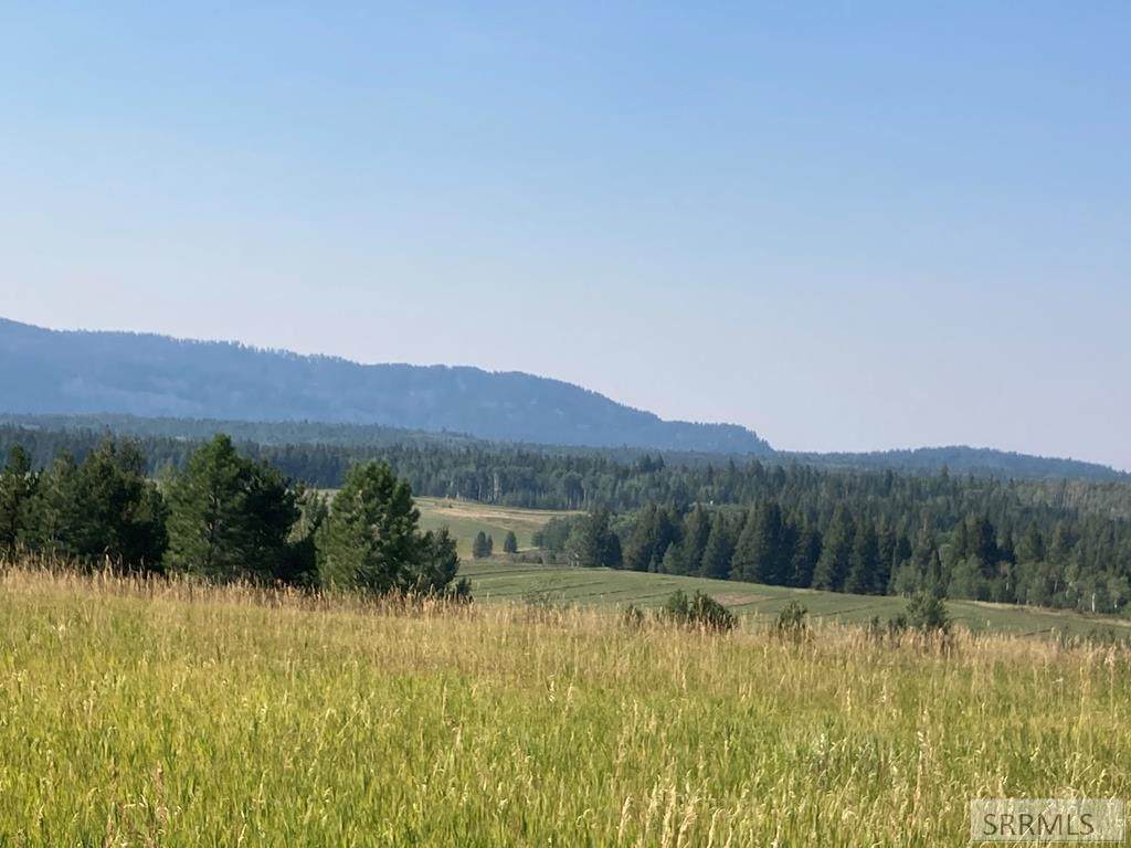 4431 Grey Owl Drive - Photo 1