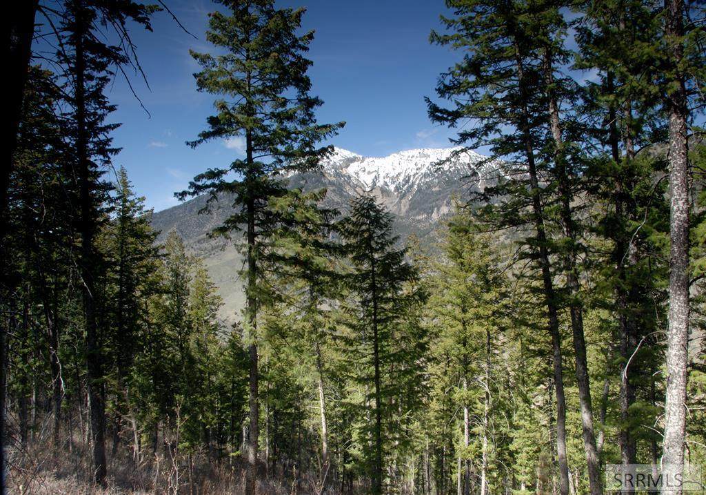 L28 B1 Cutthroat Run - Photo 1