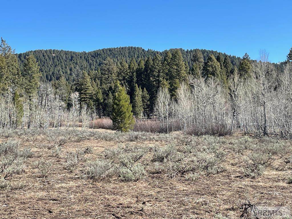 0 Camas Road - Photo 1