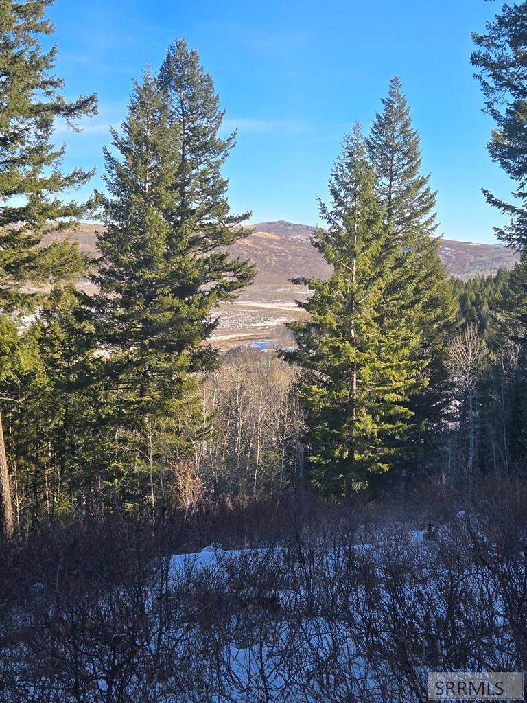 TBD Long Valley Road - Photo 1