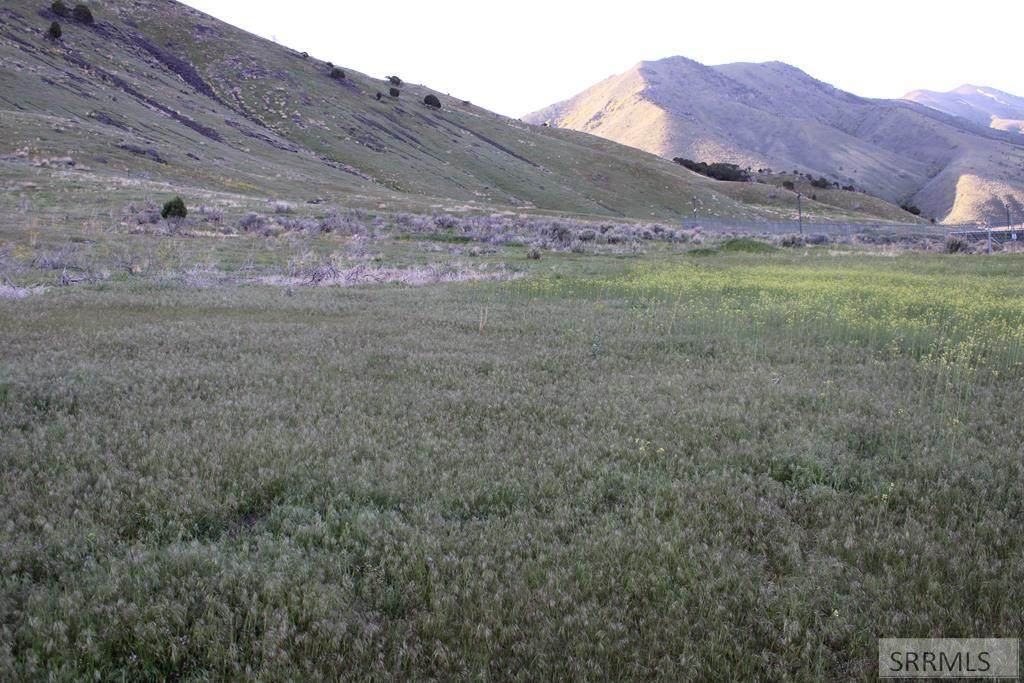 000 5th Avenue - Photo 1