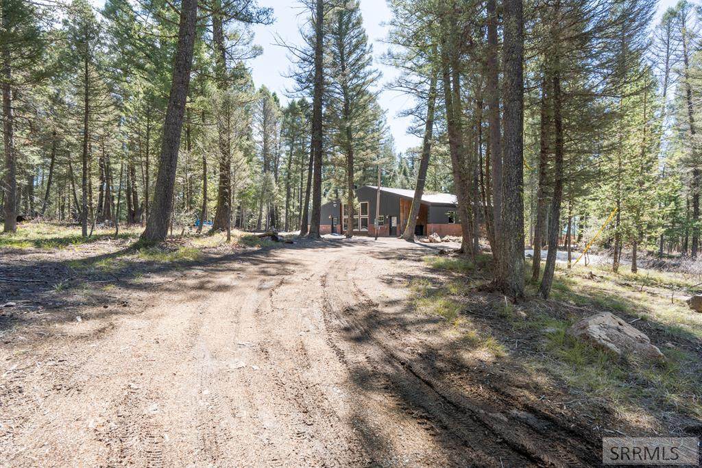 4154 Pine Crest Drive - Photo 1