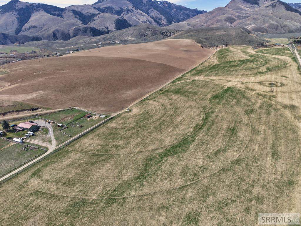TBD Williams Creek Road - Photo 1