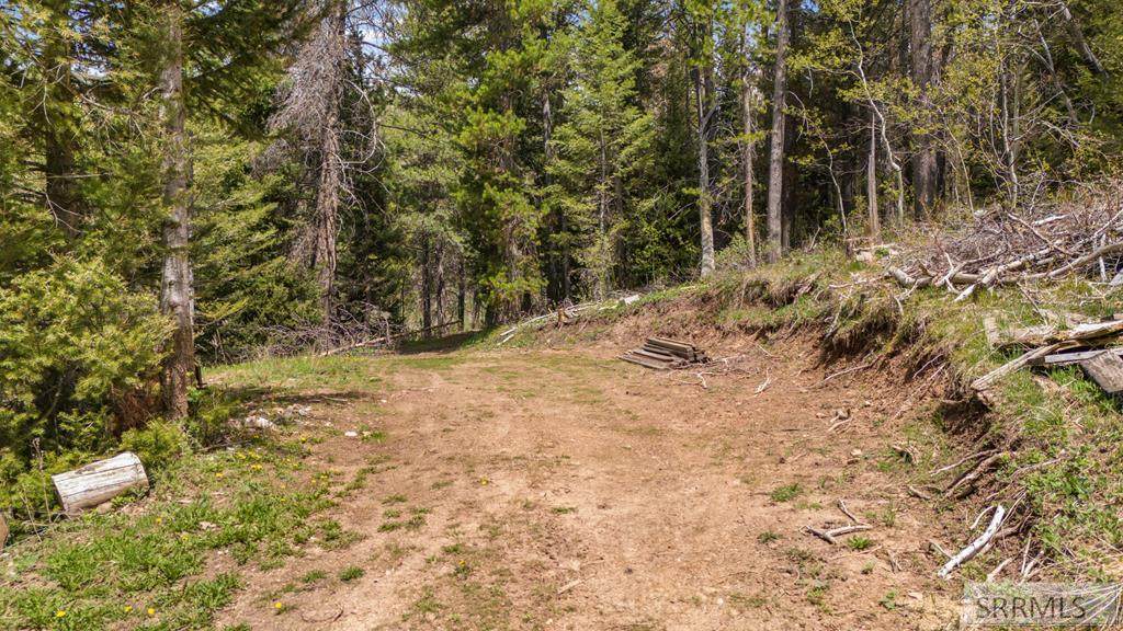 TBD Sellers Creek Road - Photo 1