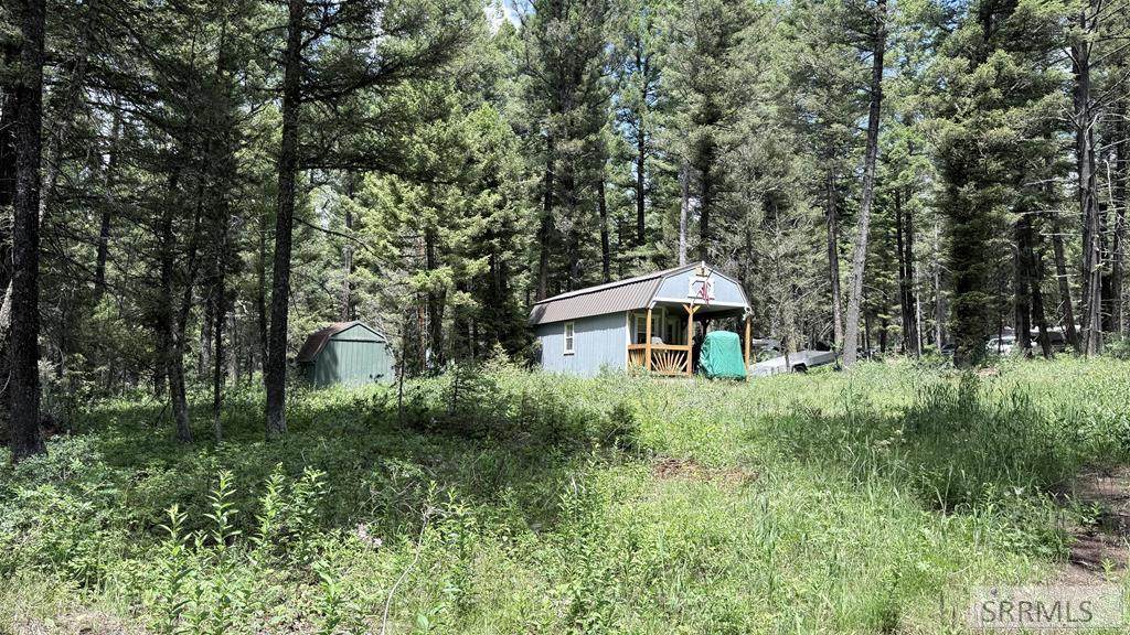 3551 Juniper Drive - Photo 1