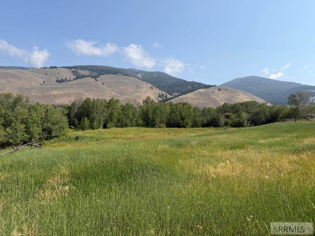 NKA Sandy Creek Road - Photo 1