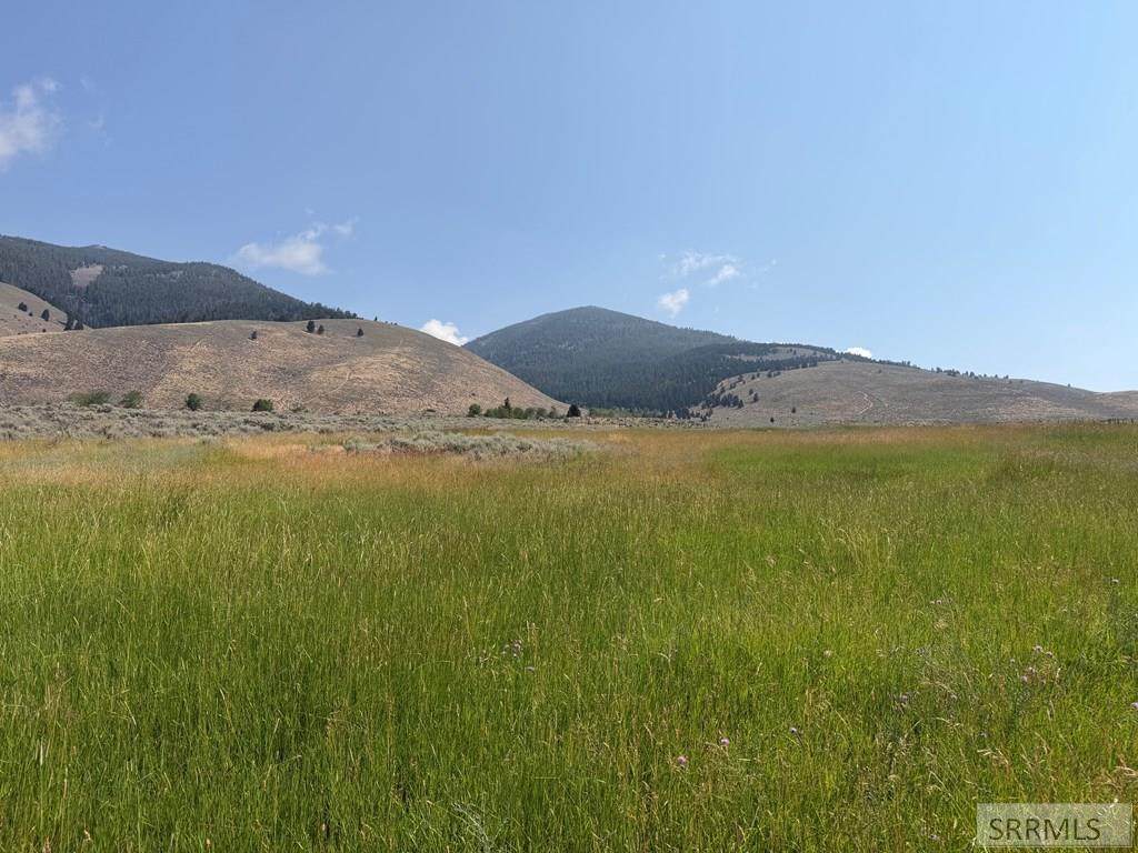 https://bt-photos.global.ssl.fastly.net/snakeriver/orig_boomver_1_2188193-2.jpg