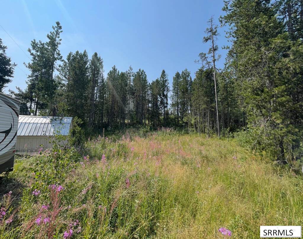 4114 Big Springs Loop Road - Photo 1