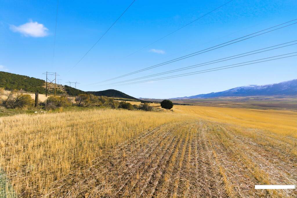 https://bt-photos.global.ssl.fastly.net/snakeriver/orig_boomver_1_2188760-2.jpg