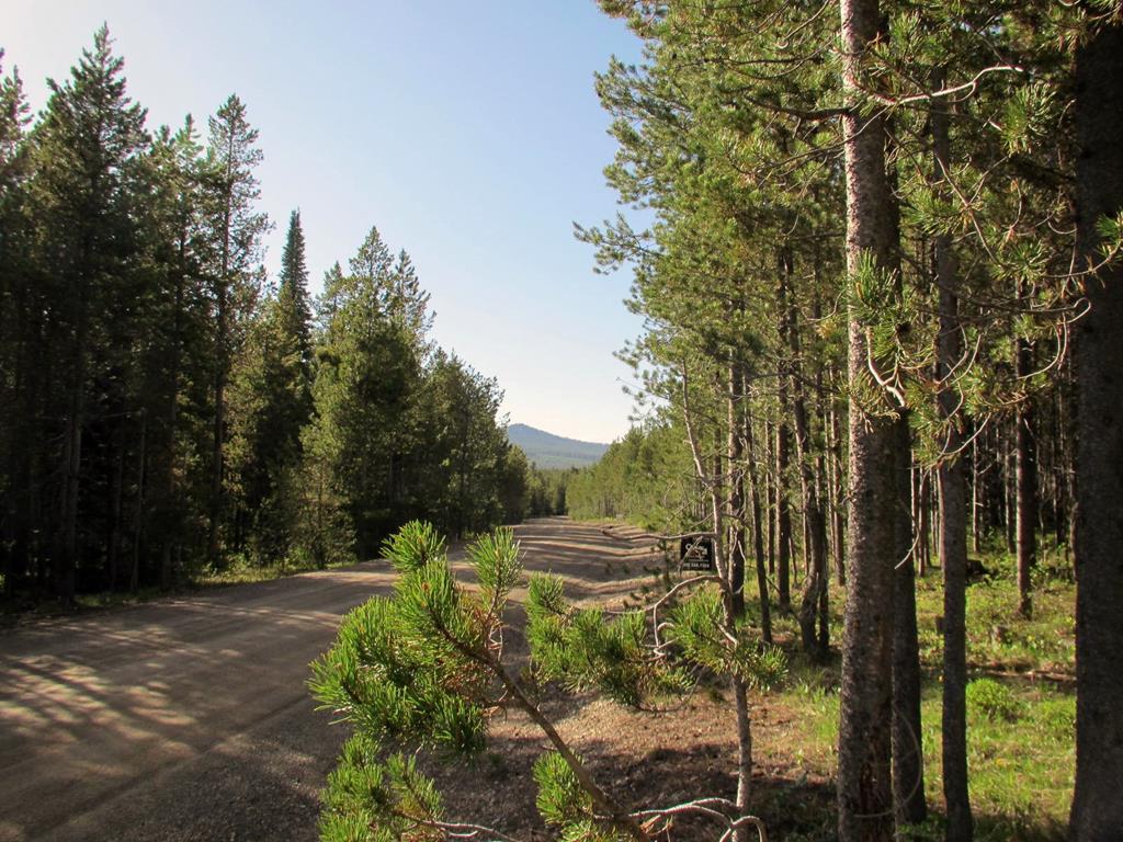 4498 Shadow Ridge - Photo 1