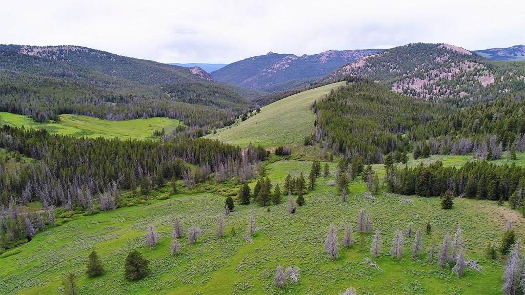 tbd Mcdevitt Creek Road - Photo 1