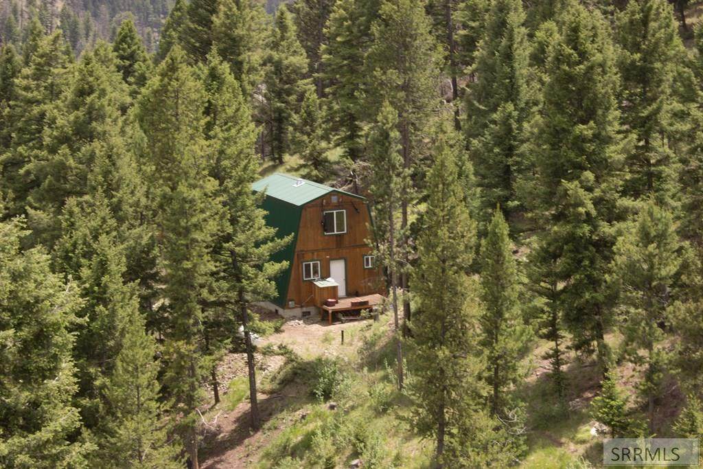 29 Mule Deer Trail - Photo 1