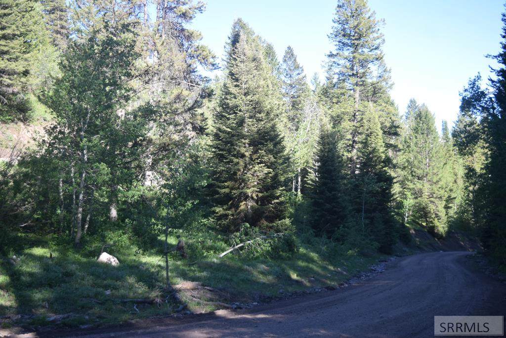 Lot 9 Sellers Creek Road - Photo 1
