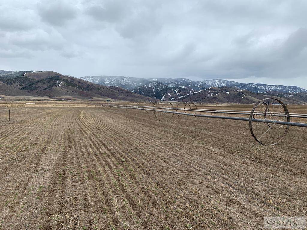 Lot 20 Diane Dr - Photo 1