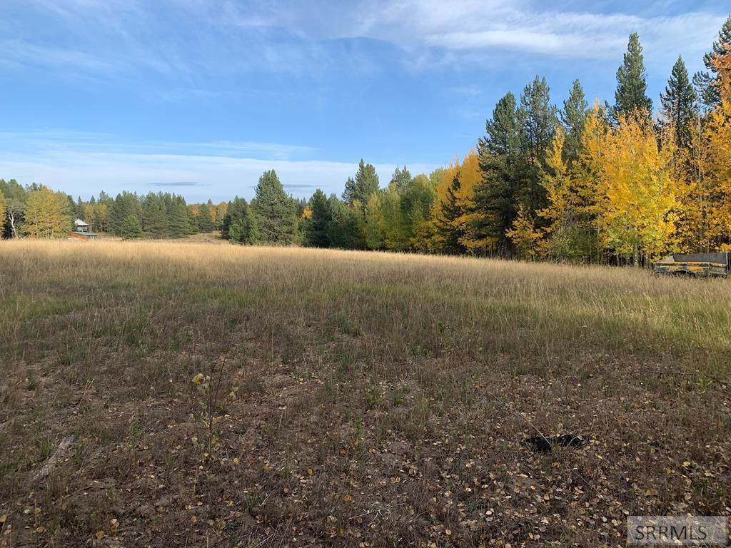 4503 Elk Loop Road - Photo 1