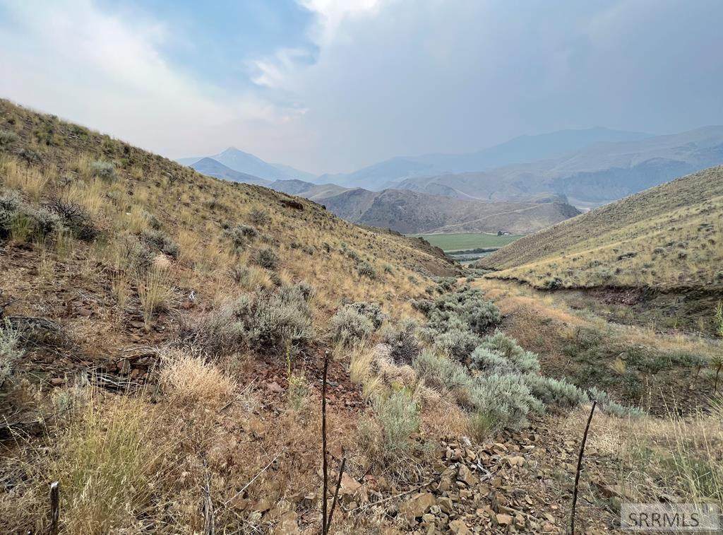TBD Old Stage Road - Photo 1