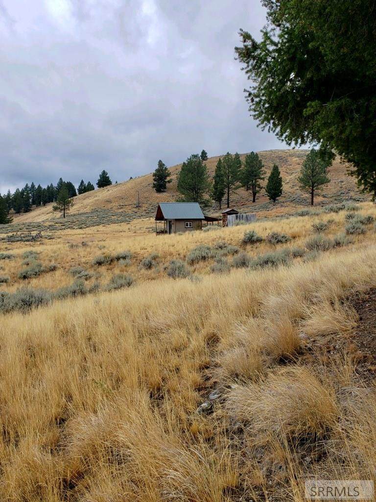 53 Panther Creek Estates Road - Photo 1