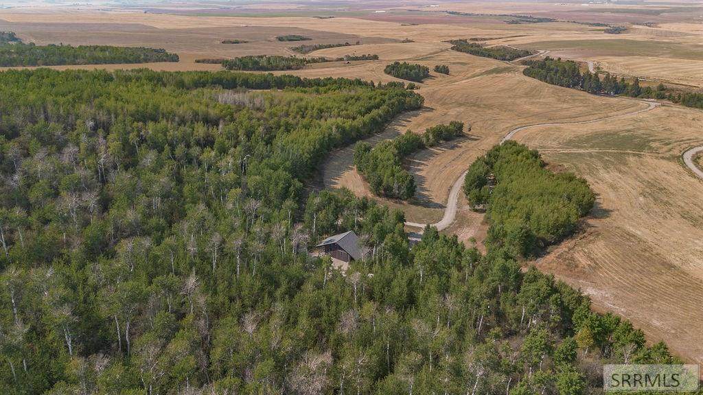 10468 Rig Ranch Road - Photo 1