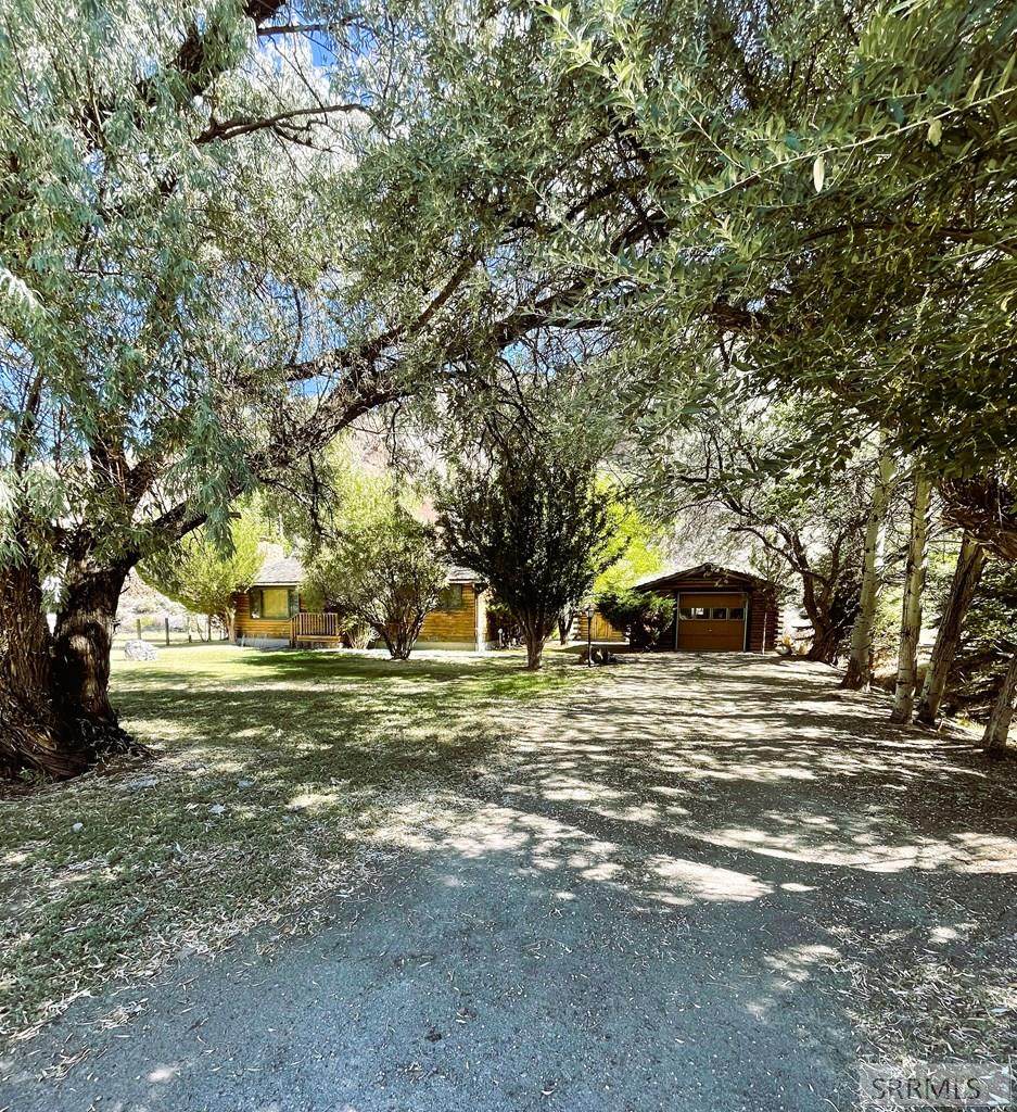 https://bt-photos.global.ssl.fastly.net/snakeriver/orig_boomver_2_2185676-2.jpg