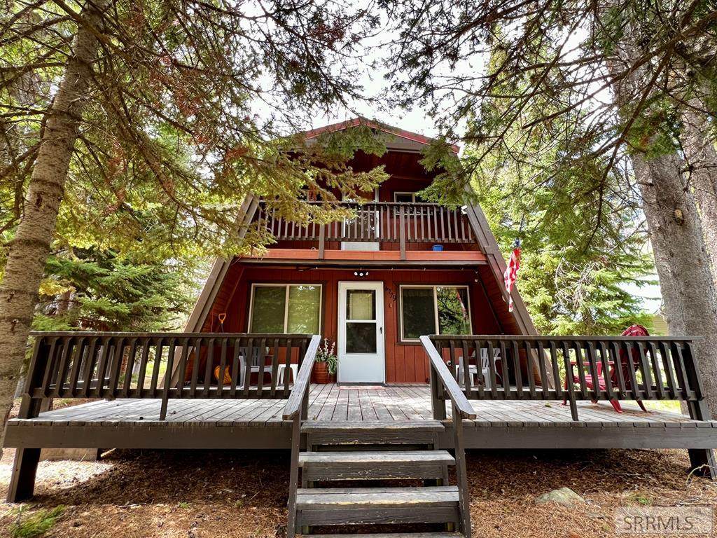 4779 Pinion Street - Photo 1