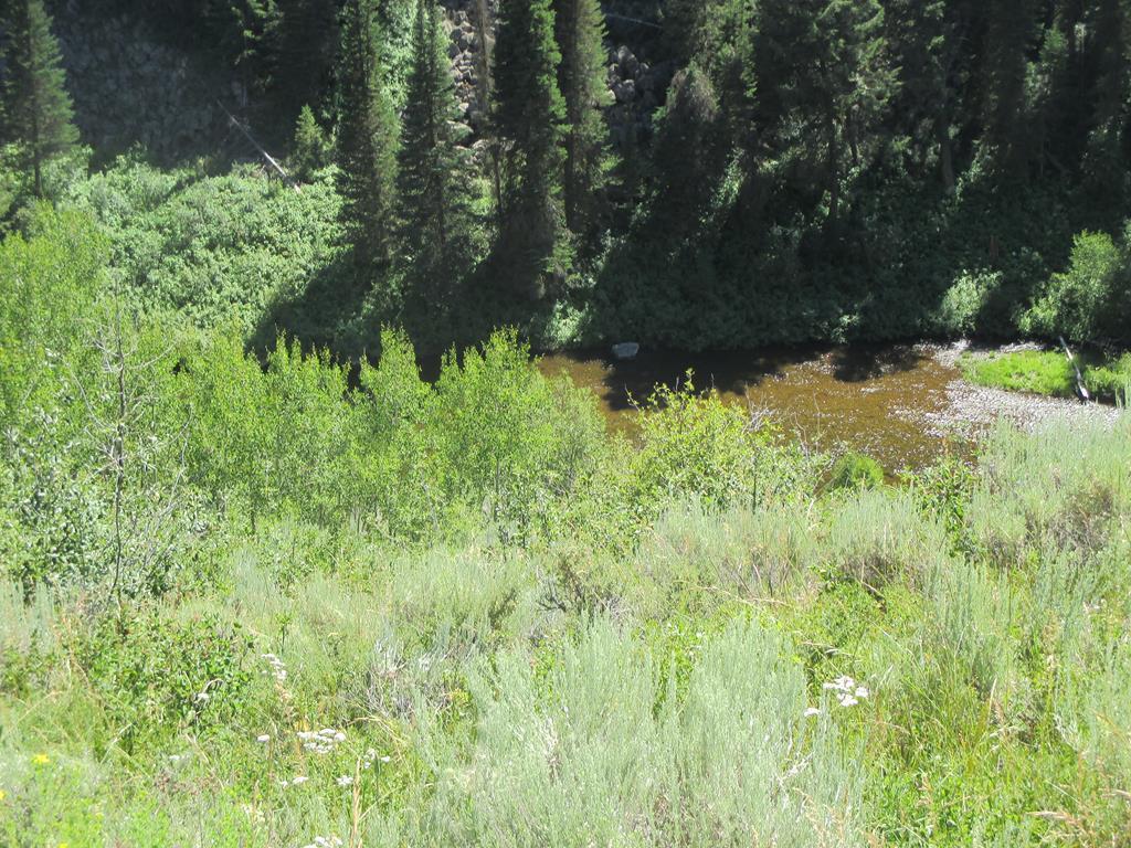 1597 Shadow Run - Photo 1