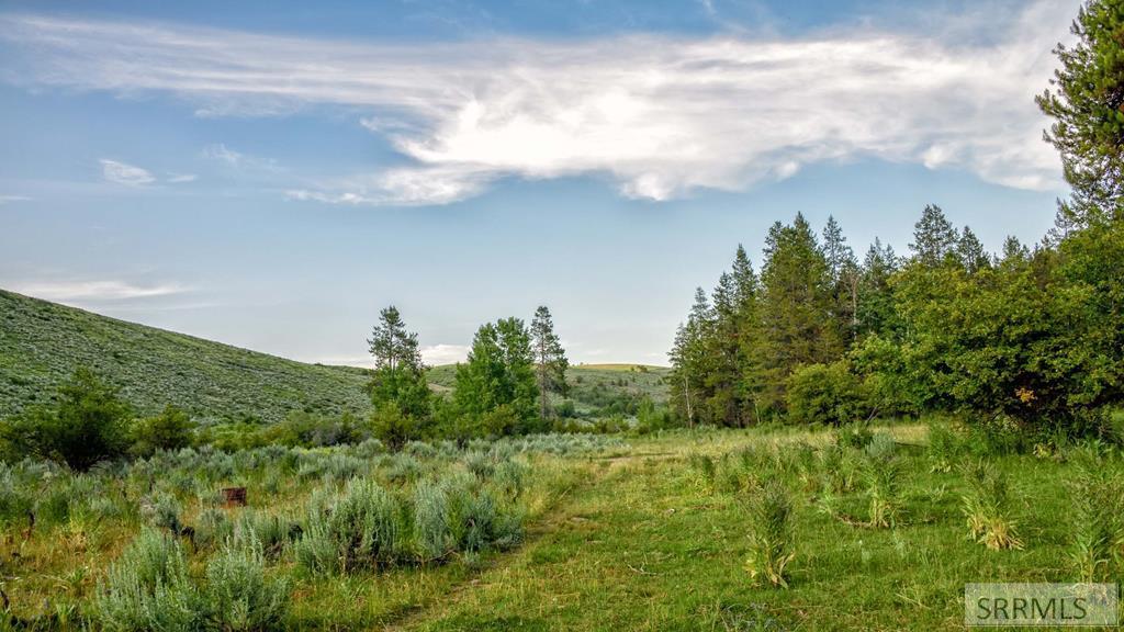 501 Acre 900 N - Photo 1