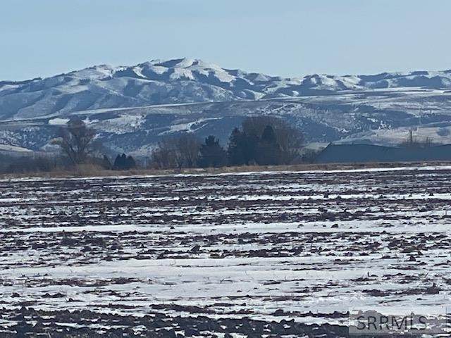 6185 65 S - Photo 1