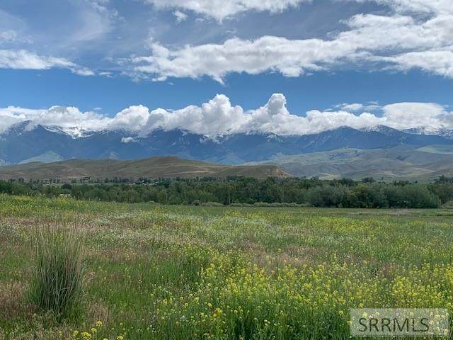 TBD Diamond Creek Road - Photo 1
