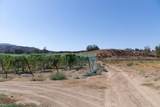 43900 Highway 79 - Photo 72