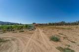 43900 Highway 79 - Photo 49