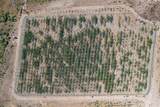 43900 Highway 79 - Photo 9