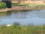 1388 Harris Ranch Rd - Photo 12