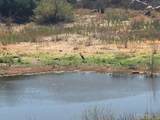 1388 Harris Ranch Rd - Photo 5